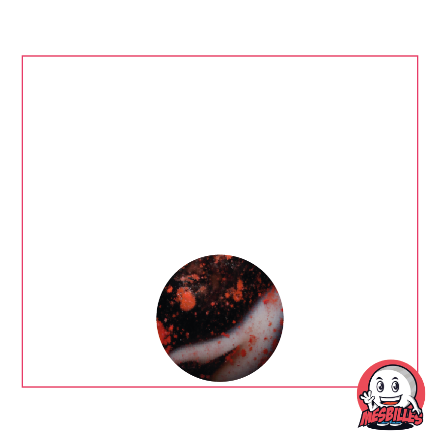 1 Canica Dracula 12 mm